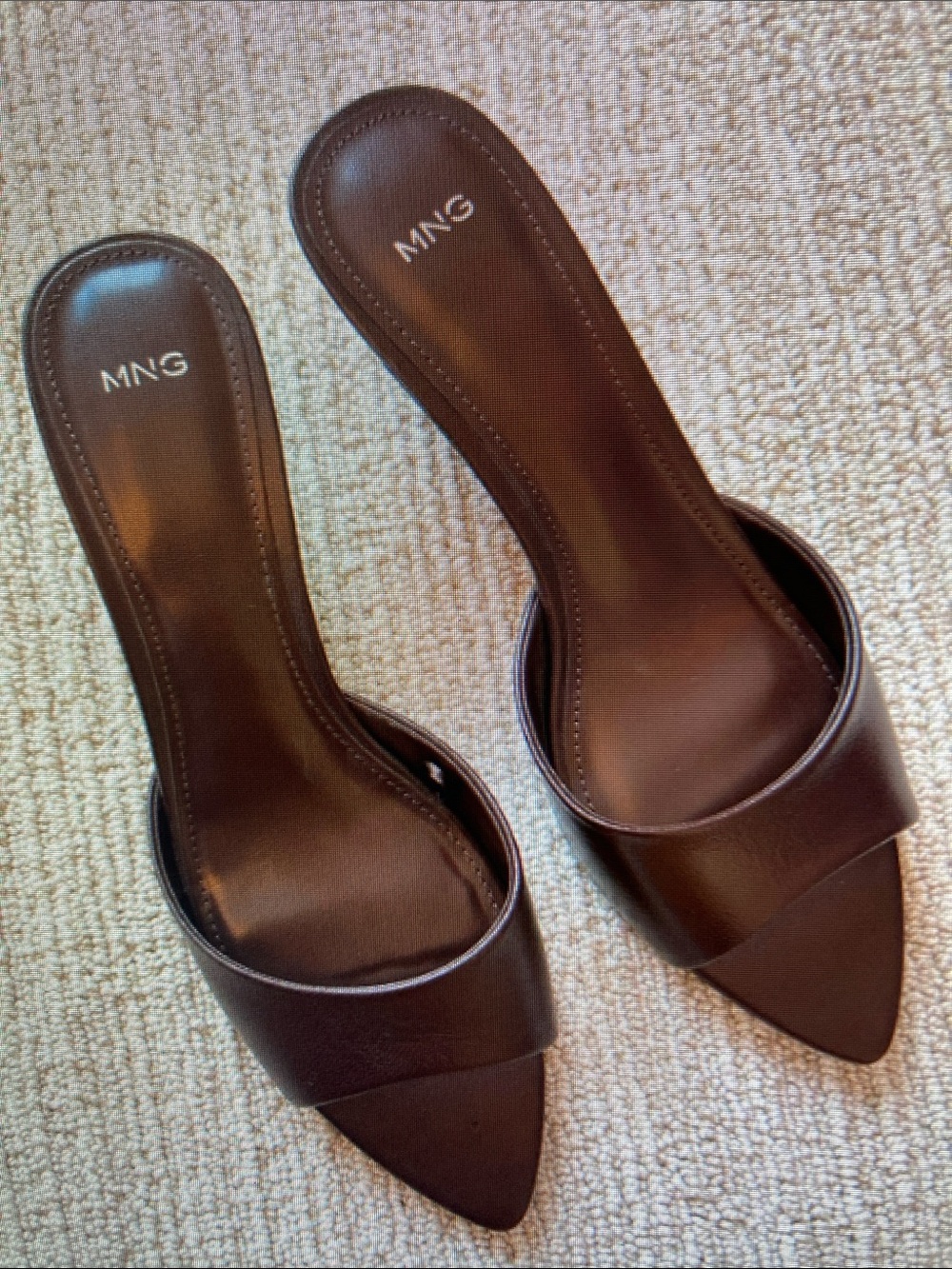 Mango Women's Brown Pointed Toe Slide Heels